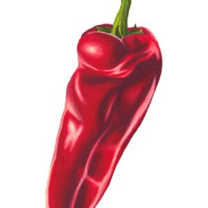 Chilli Print